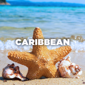 Caribbean - starfish and shells on beach